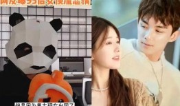 吴磊狗仔爆料事件视频下载,揭秘娱乐圈幕后真相